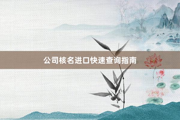 公司核名进口快速查询指南