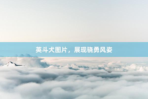 英斗犬图片,展现骁勇风姿