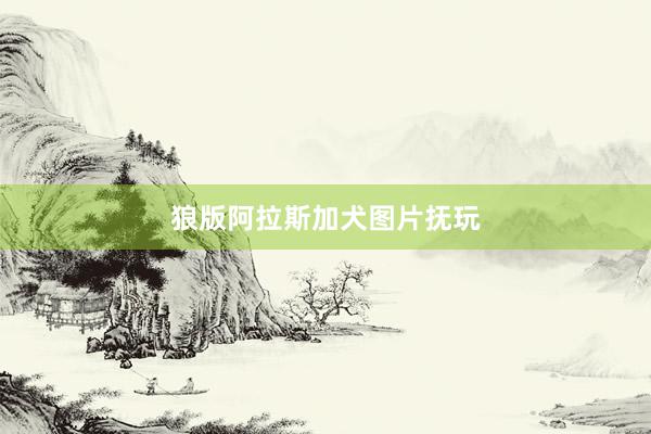 狼版阿拉斯加犬图片抚玩